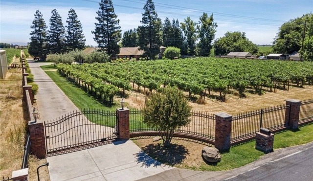 Experience Lodi - Your Perfect Wine Country Retreat Awaits
