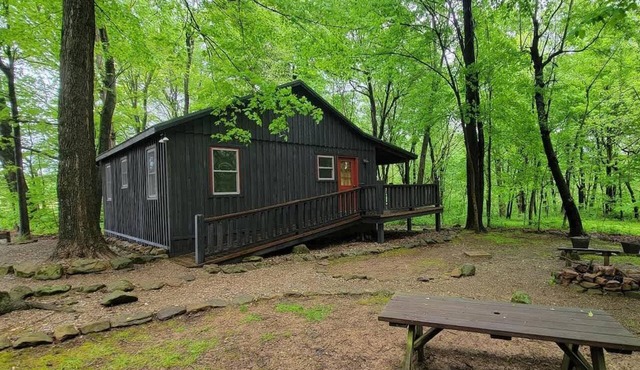 Forest Cabin #1 at Camp Because I Said I Would