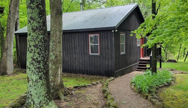 Forest Cabin #3 at Camp Because I Said I Would