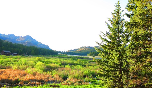 GORGEOUS MOUNTAIN RETREAT WITH PANORAMIC VIEWS, PIKES PEAK NATIONAL FOREST