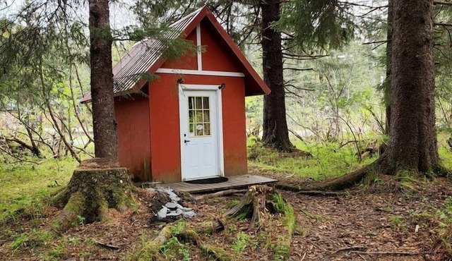 Gorgeous Secluded Cabin Nestled in the Middle of the Forest in Seward, Alaska in Seward