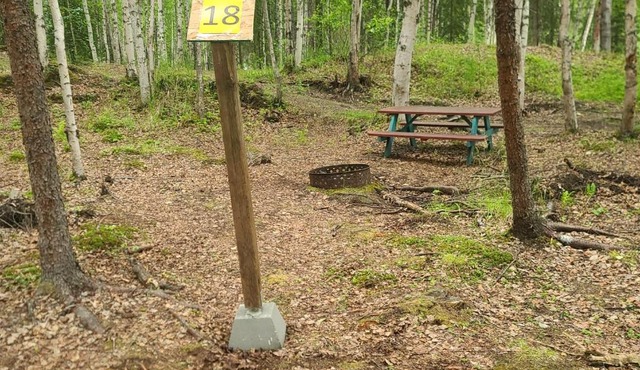 Houston Grass Station Campsite #18
