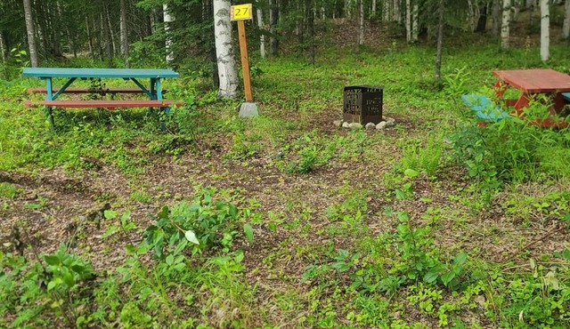 Houston Grass Station Campsite #27