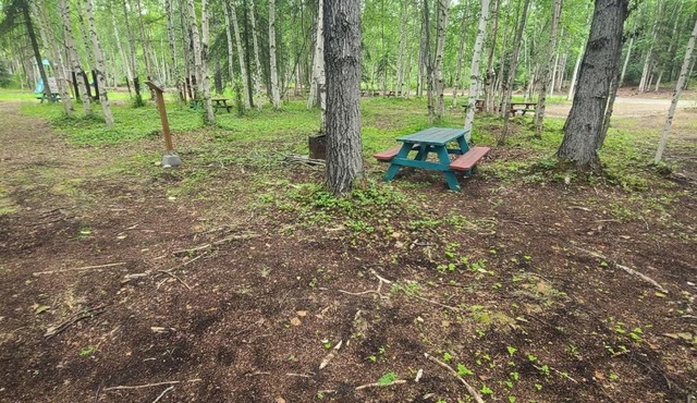 Houston Grass Station Campsite #40