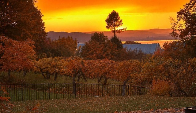 Hudson Valley · Firepit · 3+ Acres · 50min NYC in Ossining