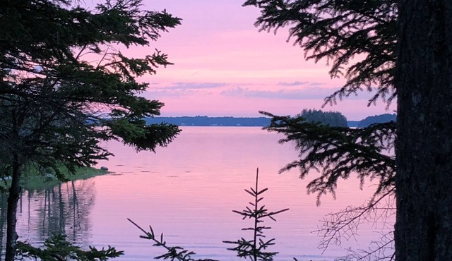 Incredible Getaway - Two Cabins on Exquisite Cove! in Mount Desert