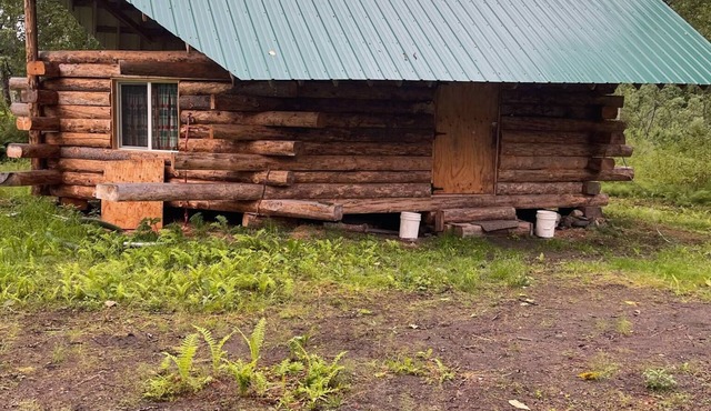 Interior Alaska vacation getaway. Secluded 1 bedroom cabin next to the river.
