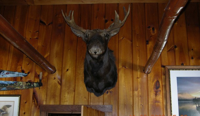 Lakeside Log Cabin: Breathtaking Natural Beauty Pocomoonshine Lake Bass fishing