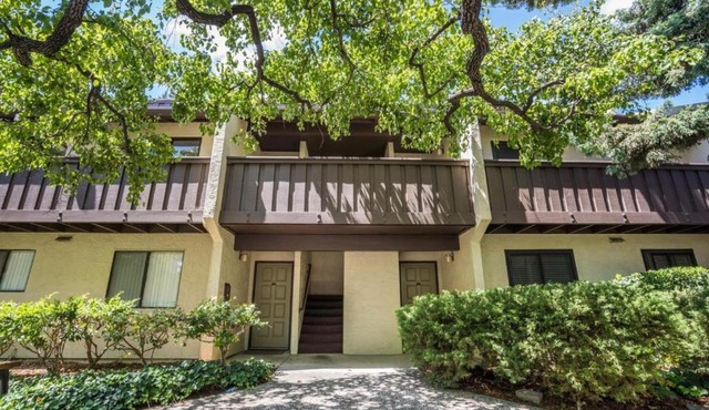 Large and full of light apartment next to Google, Apple, Stanford in the heart of Silicon Valley