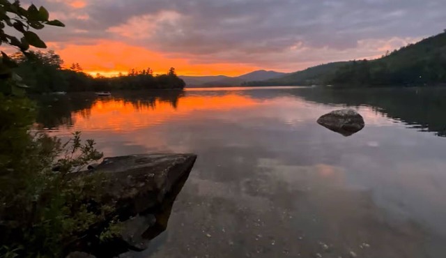 Loon Lodge : Spacious Lakeside Suite