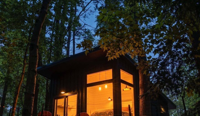 Modern glamping cabin w/full bath + kitchen - 19