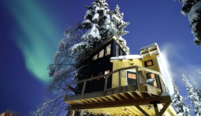 Modern Tiny Home treehouse