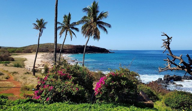Molokai Lei Over