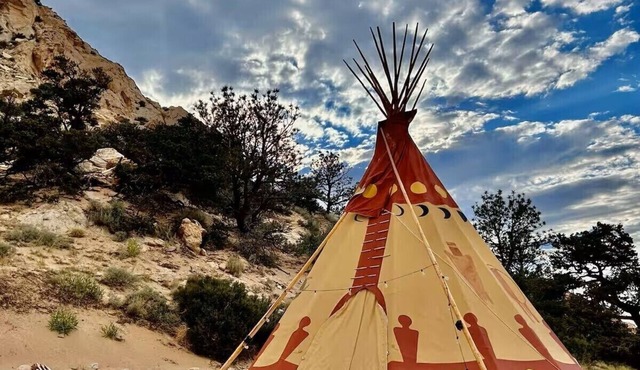 Native American Bison Tipi