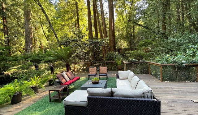 Nestled in the Redwoods, Easy Walk Downtown, Close to SF and Wine Country