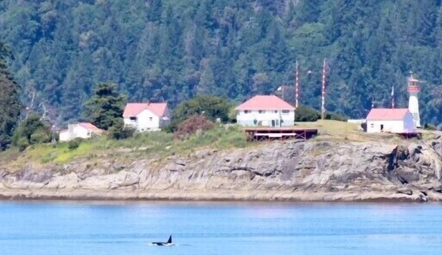 Oceanfront*Relax with the Eagles*Dog Friendly in Bowser