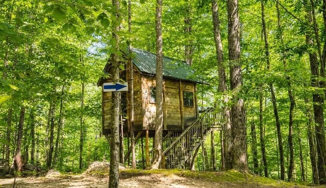 Off-Grid Treehouse! White Mountain National Forest
