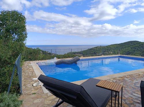 Oleander in Begur