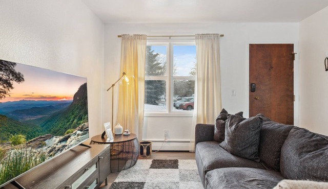 Peaceful 1-bedroom apartment in charming Anchorage near downtown