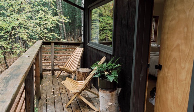 Peaceful 1-bedroom cabin in Fairbanks
