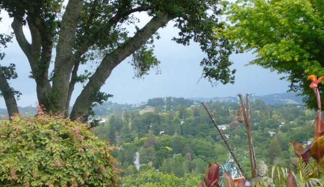 Peaceful, Quiet, Fully Furnished Studio. Mins to San Francisco, Berkeley, BART