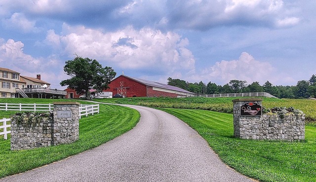 Peaceful Studio on Horse Farm - Hike, Relax, Explore!