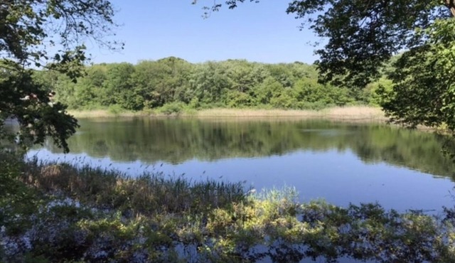 Pond View Retreat – 4-BR Close to Narragansett Beaches and Newport – Off Rt 1A