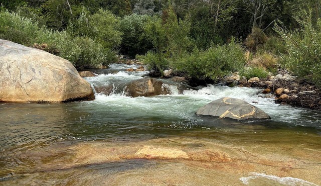 Private river access. And 50+ acres in Three rivers