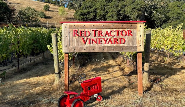 Private single-level 3 Bedroom Napa vineyard home minutes from Downtown!