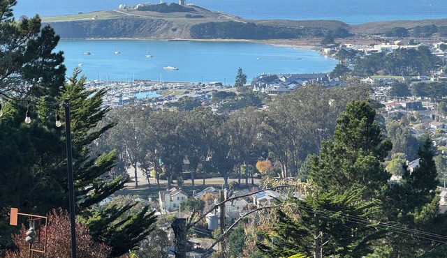 Private Studio , spectacular Ocean View , bathroom , kitchenette, Very Quiet