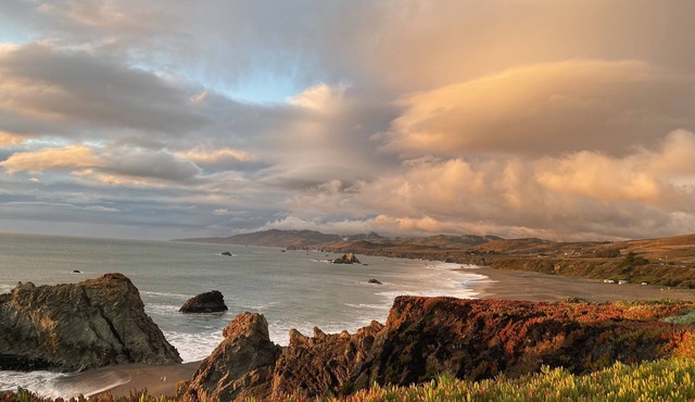 Quaint Ocean Getaway, Walk to Beach, Dogs Invitedn in Bodega Bay