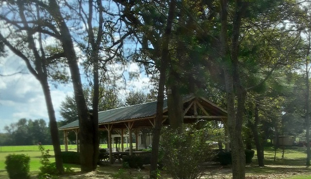 Quiet & Cozy Efficiency Cabin in East Texas