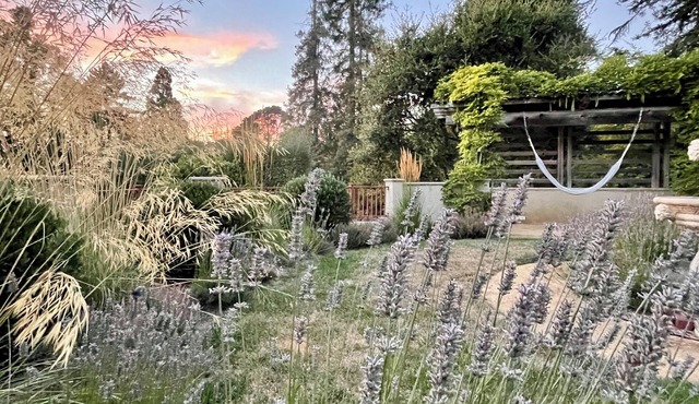 Quiet, Elegant Apartment With Beautiful Views of Terraced Garden
