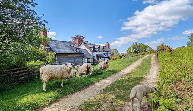 Ramblers Rest - Three Bedroom House, Sleeps 6 in Bircher