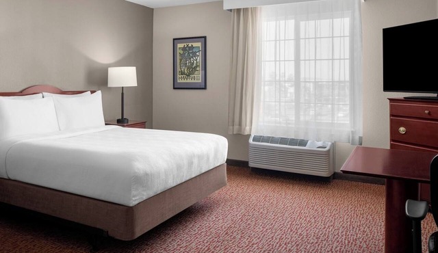 Relaxing Room in Bay Area | Hotel with Outdoor Patio & Free Parking