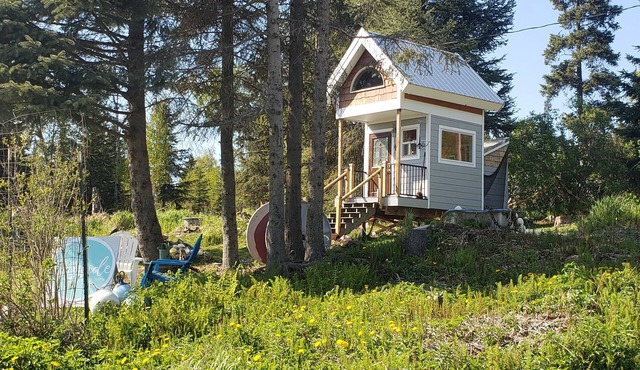 Repurposed Playhouse with room for 2!