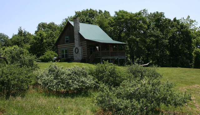 Rest & relax in a fully furnished cabin on a working orchard and vineyard.