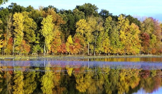 Rest & Relaxation in Marcellus