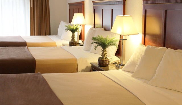 Rodeway Inn Santa Clara El Camino Real