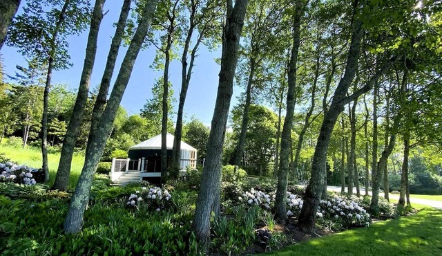 Romantic Luxury Yurt with Private Beach & Steam Shower near Friendship, Maine