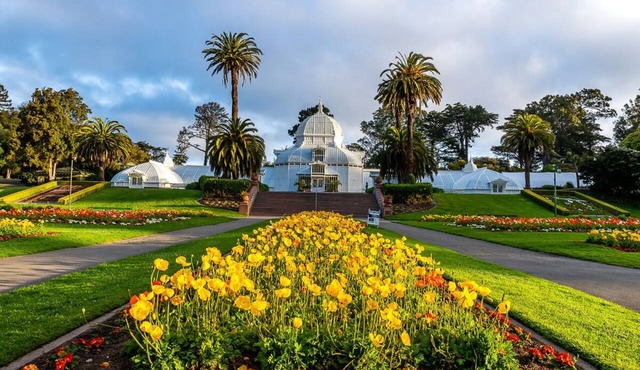 San Francisco Elegance! Pets Allowed, Near San Francisco Botanical Garden!