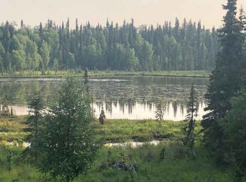 Scout Lake Adventures - LAKE FRONT fishing avail