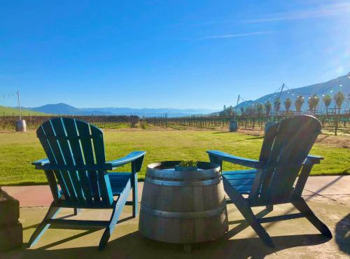 Sequoia View Vineyard