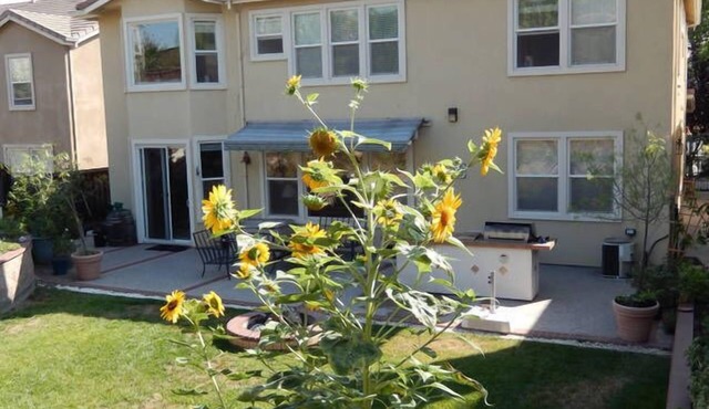 Spacious Modern Home/Big Backyard/Close to Downtown, Levis, SAP, Avaya Stadiums