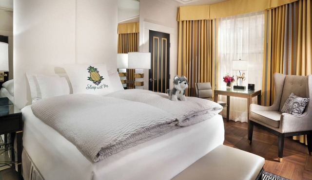 Starlet Queen Refuge, Staypineapple, Comfort Redefined, Union Square’s Spotlight