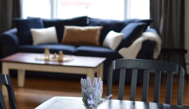 Stay North–Rooted in Anchorage, Ready for Anything! Message for longer Stays.