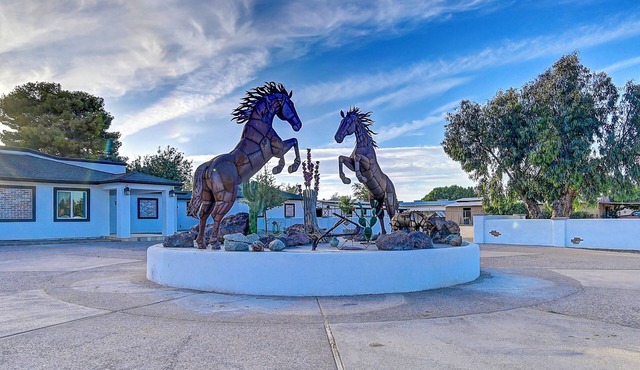 Stunning 6 Bdrm Desert Ranch Equestrian Estate w/Breathtaking Views!
