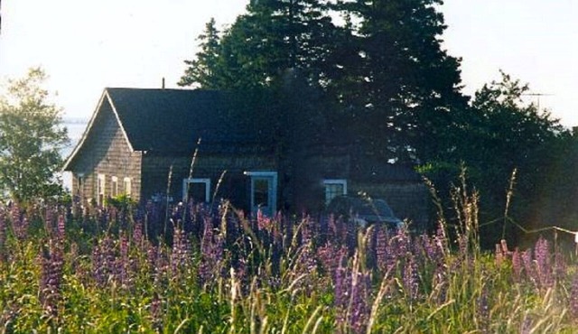 Summer Cottage In Exquisite Coastal Maine Spot