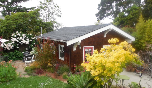 Sunny Garden Studio in great North Berkeley location