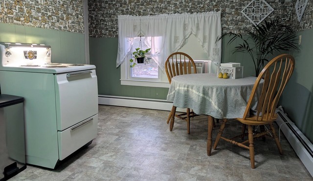 The Dexter Suite. Now with Plants! Vintage-styled 1-bedroom apt near downtown
